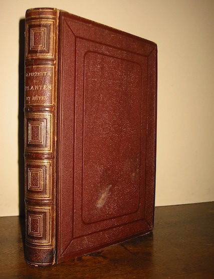 Jules Pizzetta Plantes et bàªtes. Causeries familières sur l'histoire naturelle... deuxième édition 1882 Paris A. Hennuyer Imprimeur-Editeur
